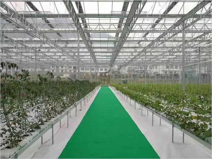 How to choose greenhouse materials