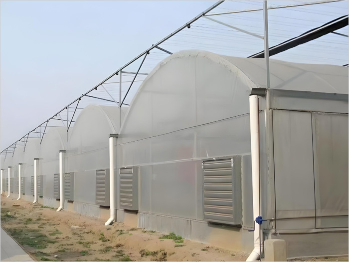 How to dehumidify a multi story greenhouse